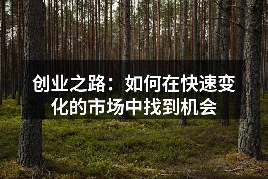 创业之路：如何在快速变化的市场中找到机会